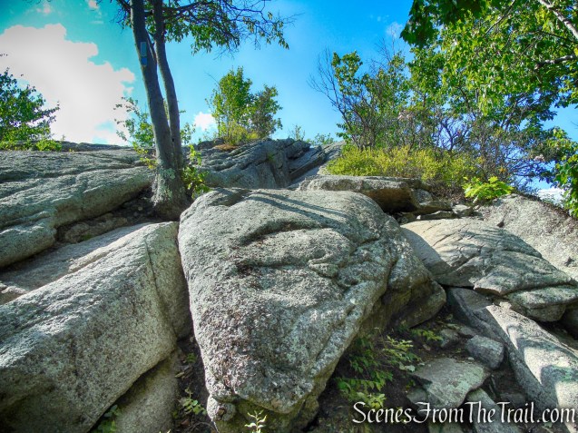 Coaligned AT/Timp-Torne Trails – West Mountain