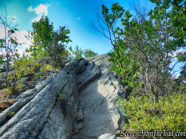 Coaligned AT/Timp-Torne Trails – West Mountain