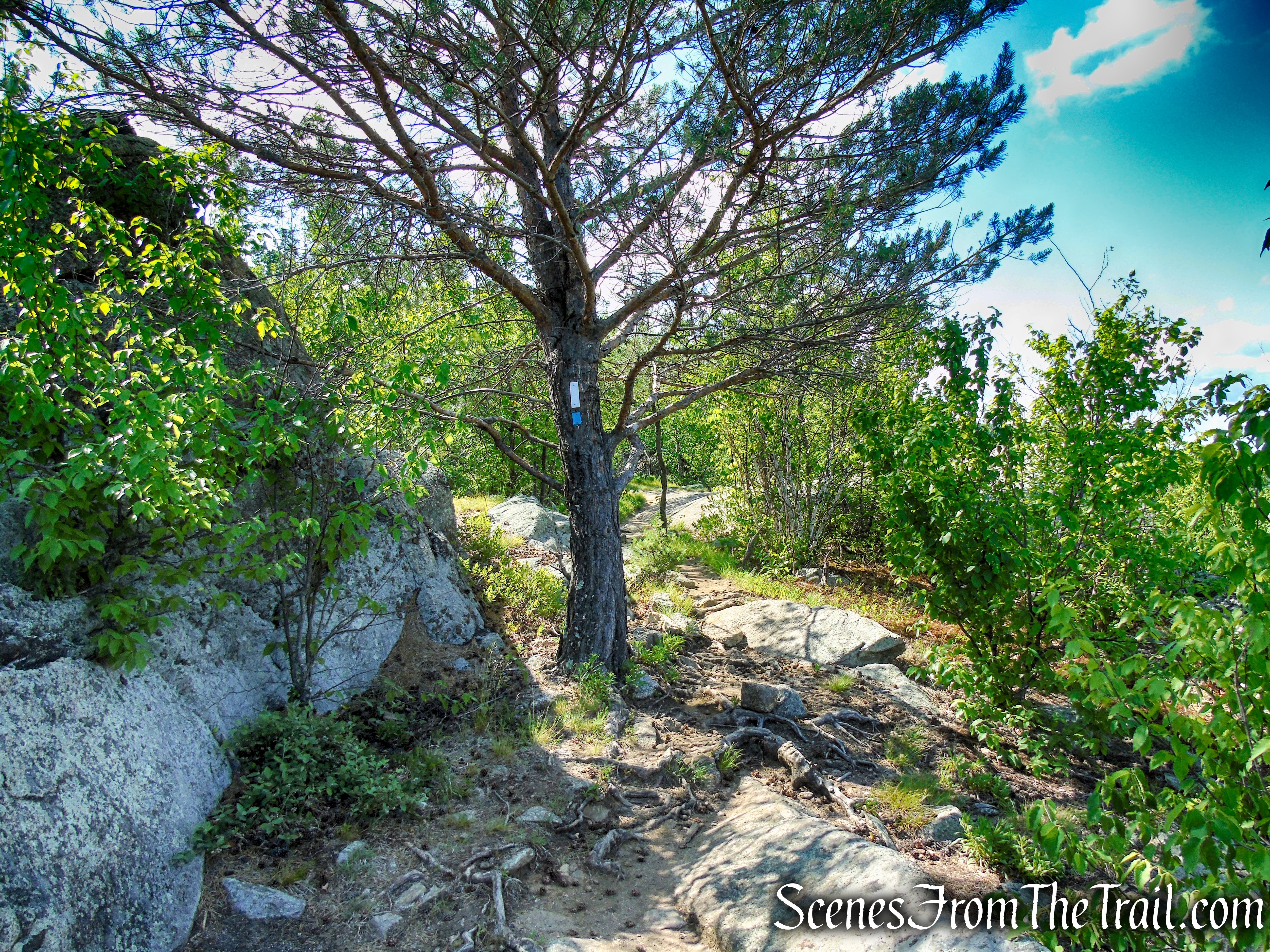 Coaligned AT/Timp-Torne Trails – West Mountain