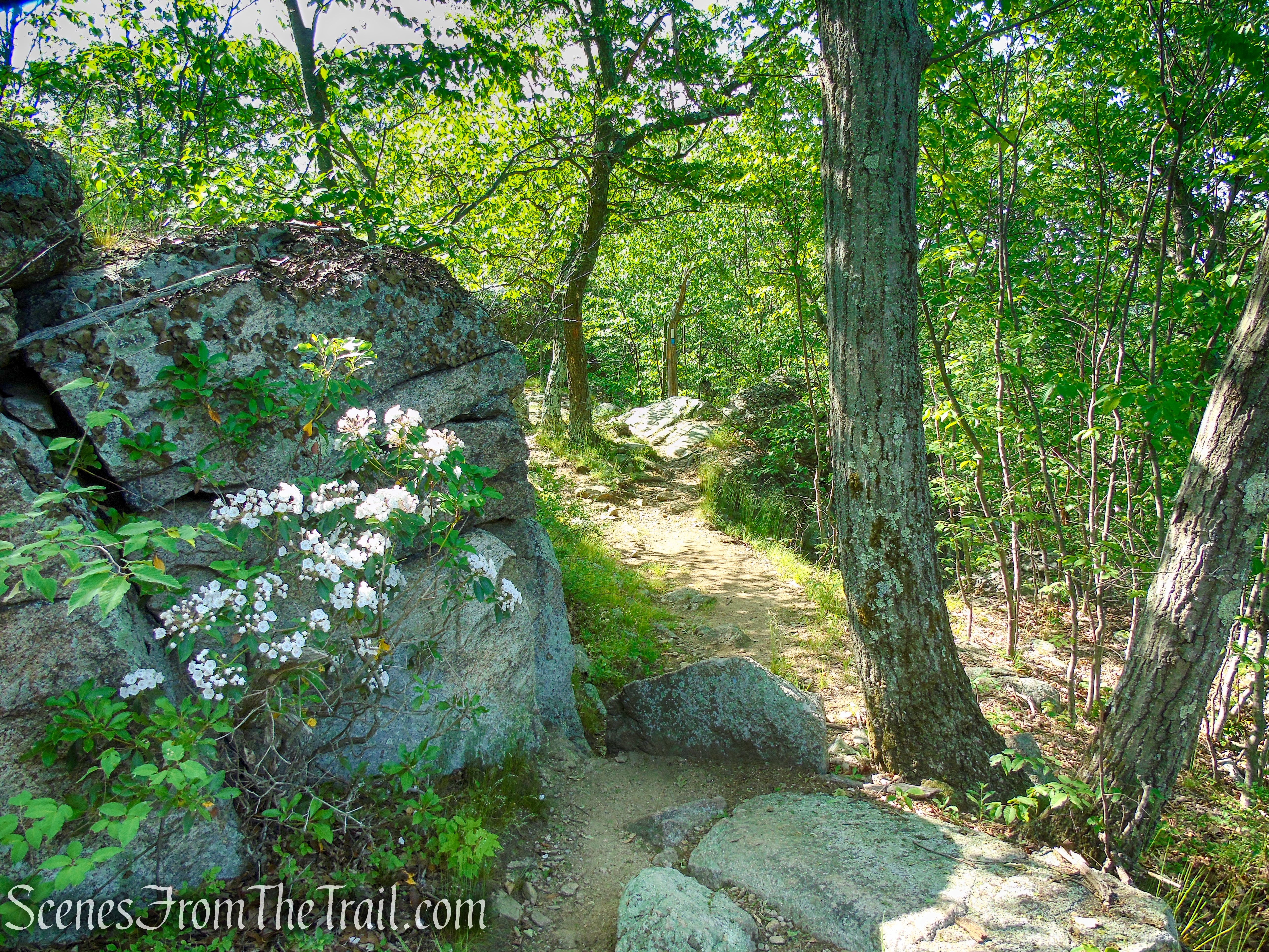 Coaligned AT/Timp-Torne Trails – West Mountain