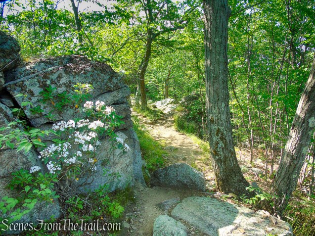 Coaligned AT/Timp-Torne Trails – West Mountain