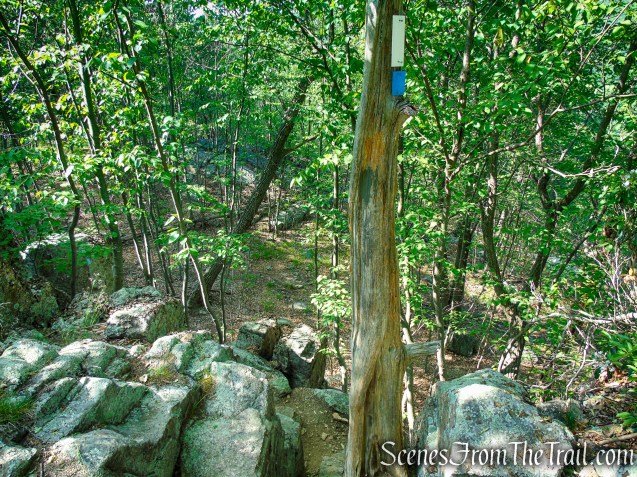 Coaligned AT/Timp-Torne Trails – West Mountain