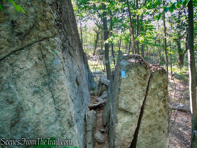 Coaligned AT/Timp-Torne Trails – West Mountain