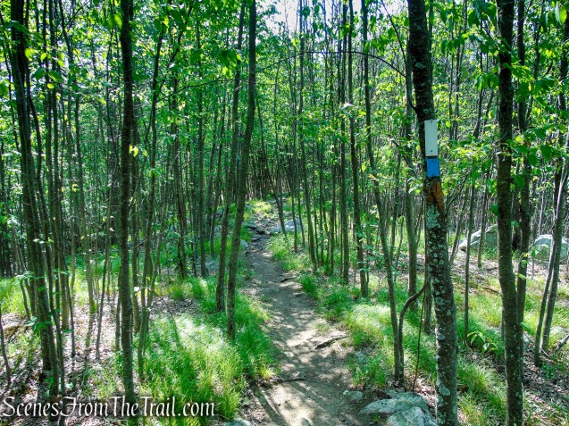 Coaligned AT/Timp-Torne Trails – West Mountain