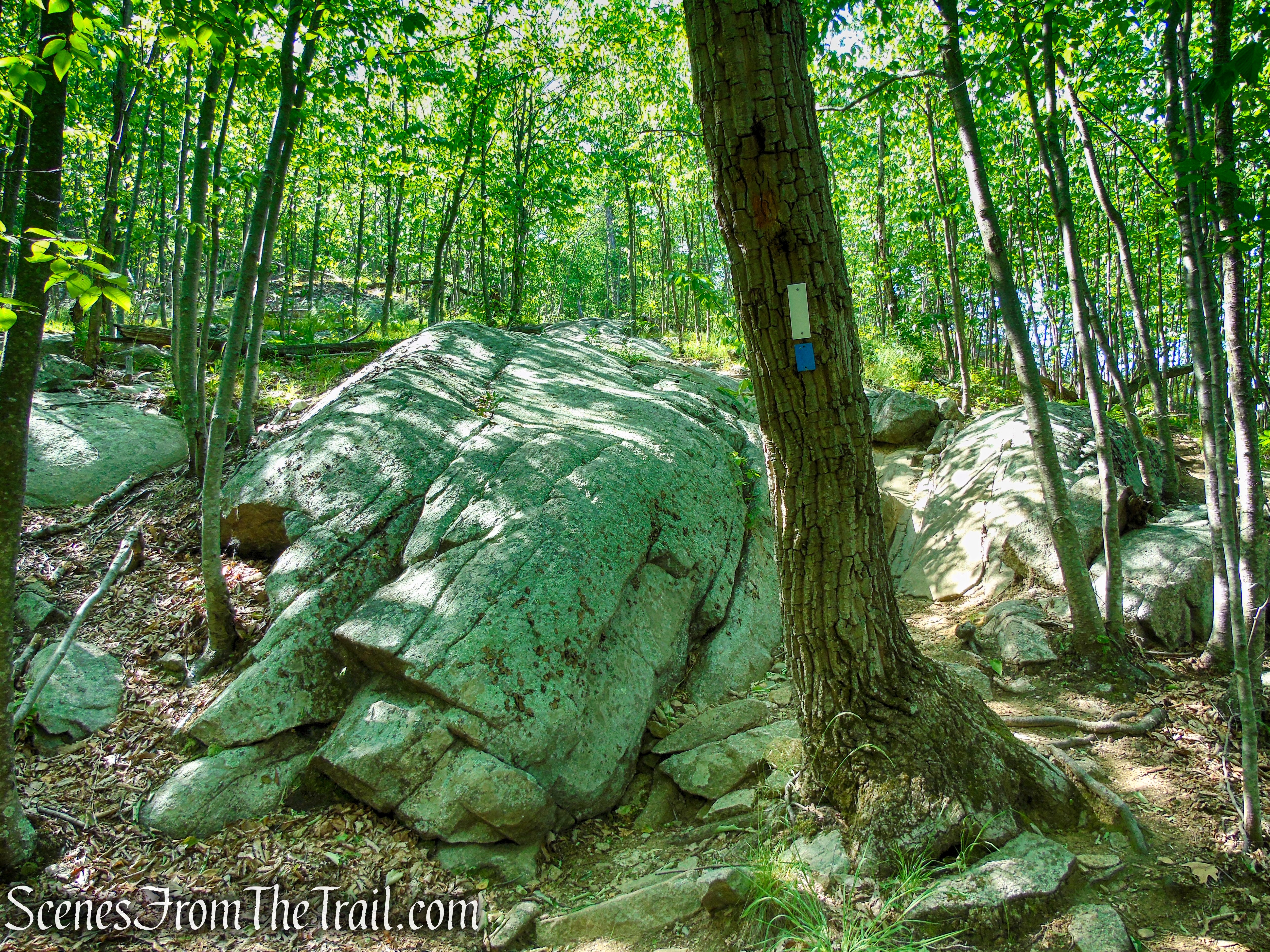 Coaligned AT/Timp-Torne Trails – West Mountain