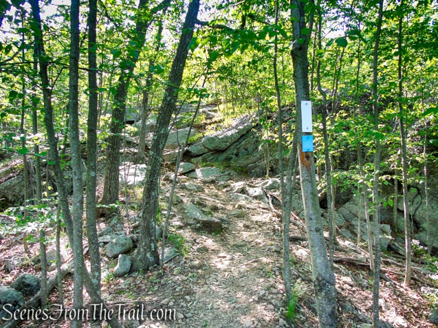 Coaligned AT/Timp-Torne Trails – West Mountain