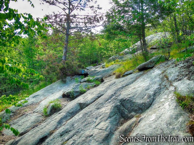 Coaligned AT/Timp-Torne Trails – West Mountain