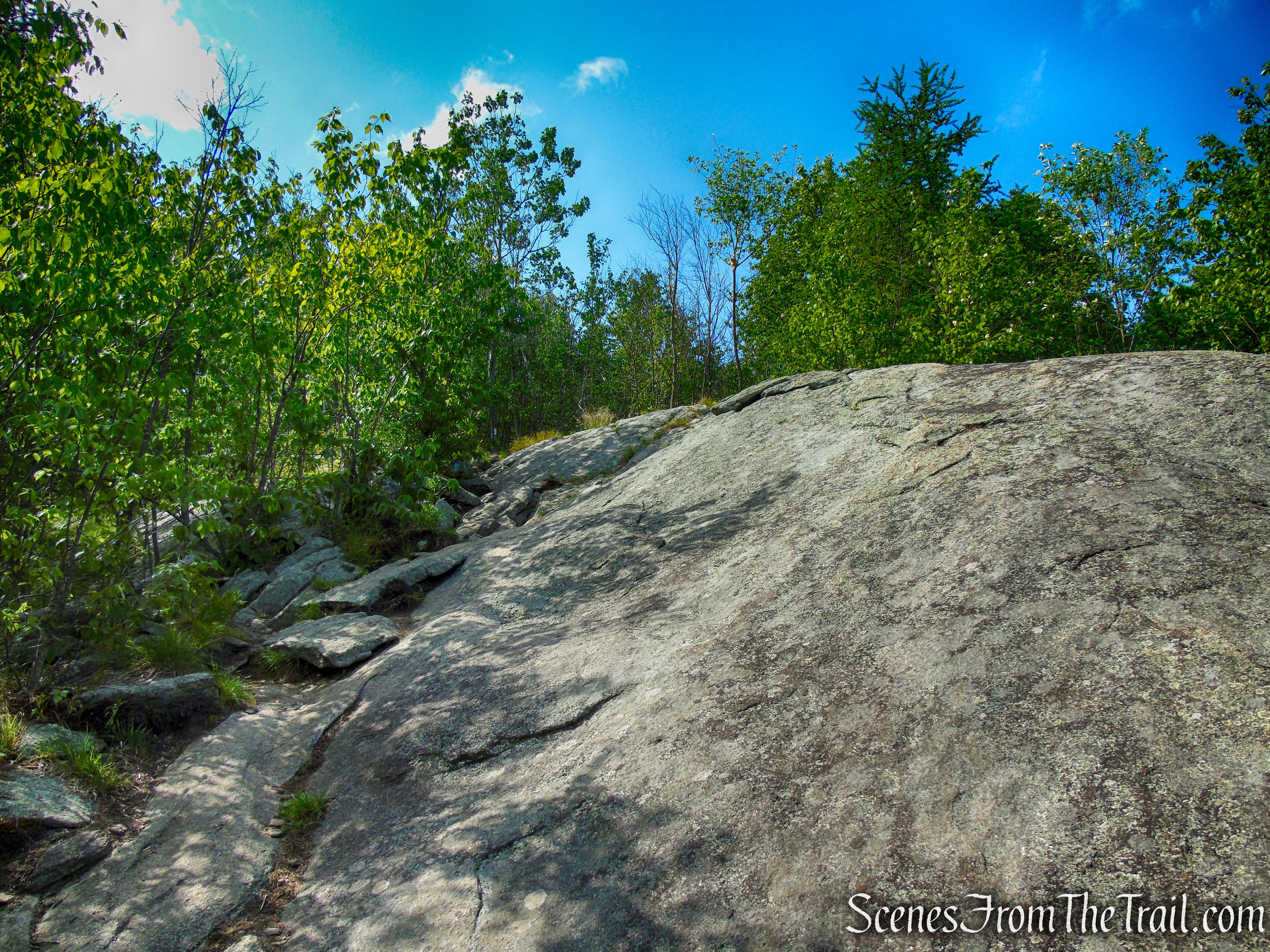 Coaligned AT/Timp-Torne Trails – West Mountain