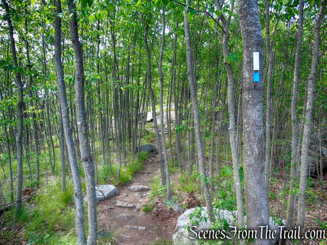 Coaligned AT/Timp-Torne Trails – West Mountain