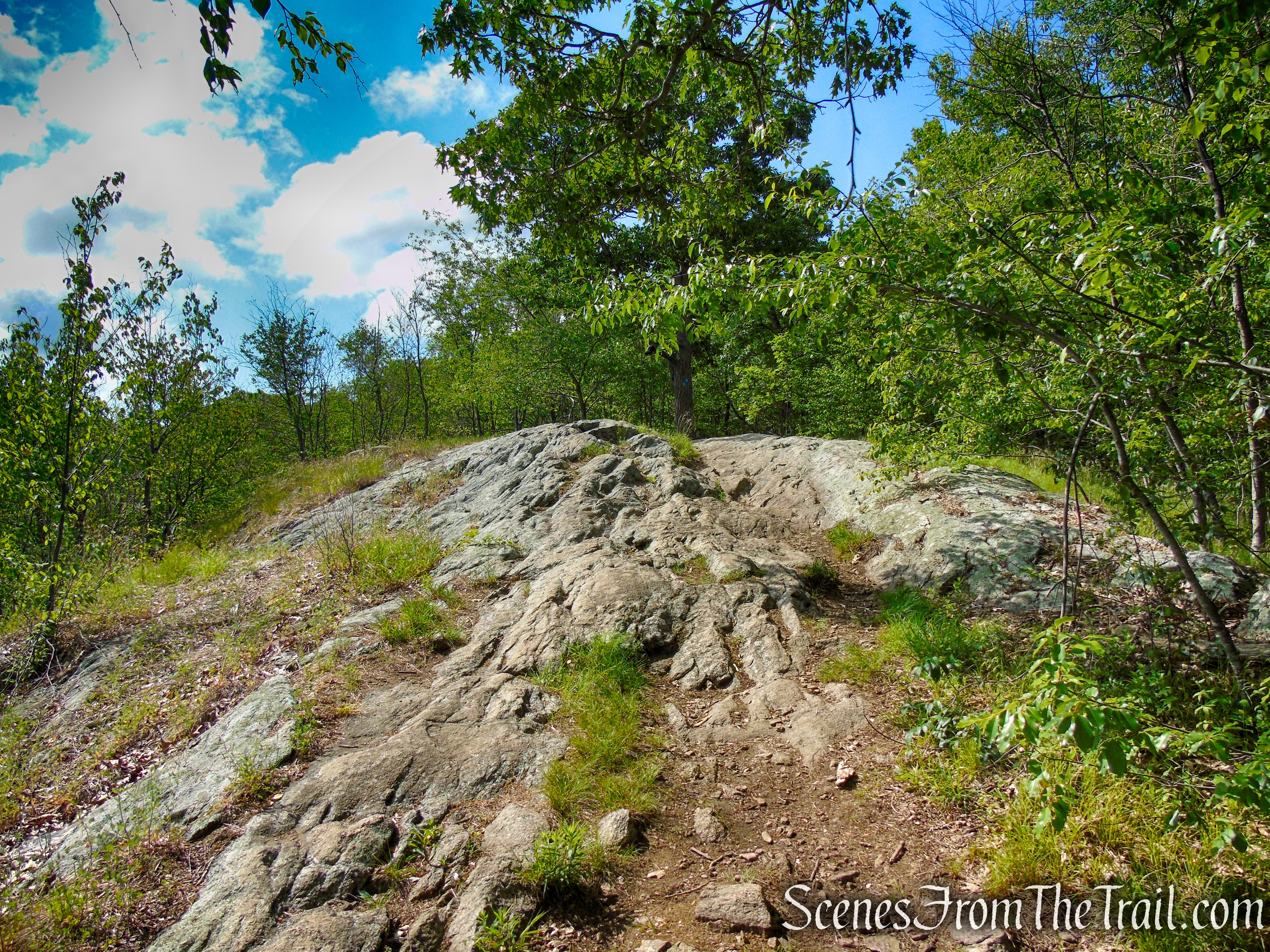 Timp-Torne Trail – West Mountain