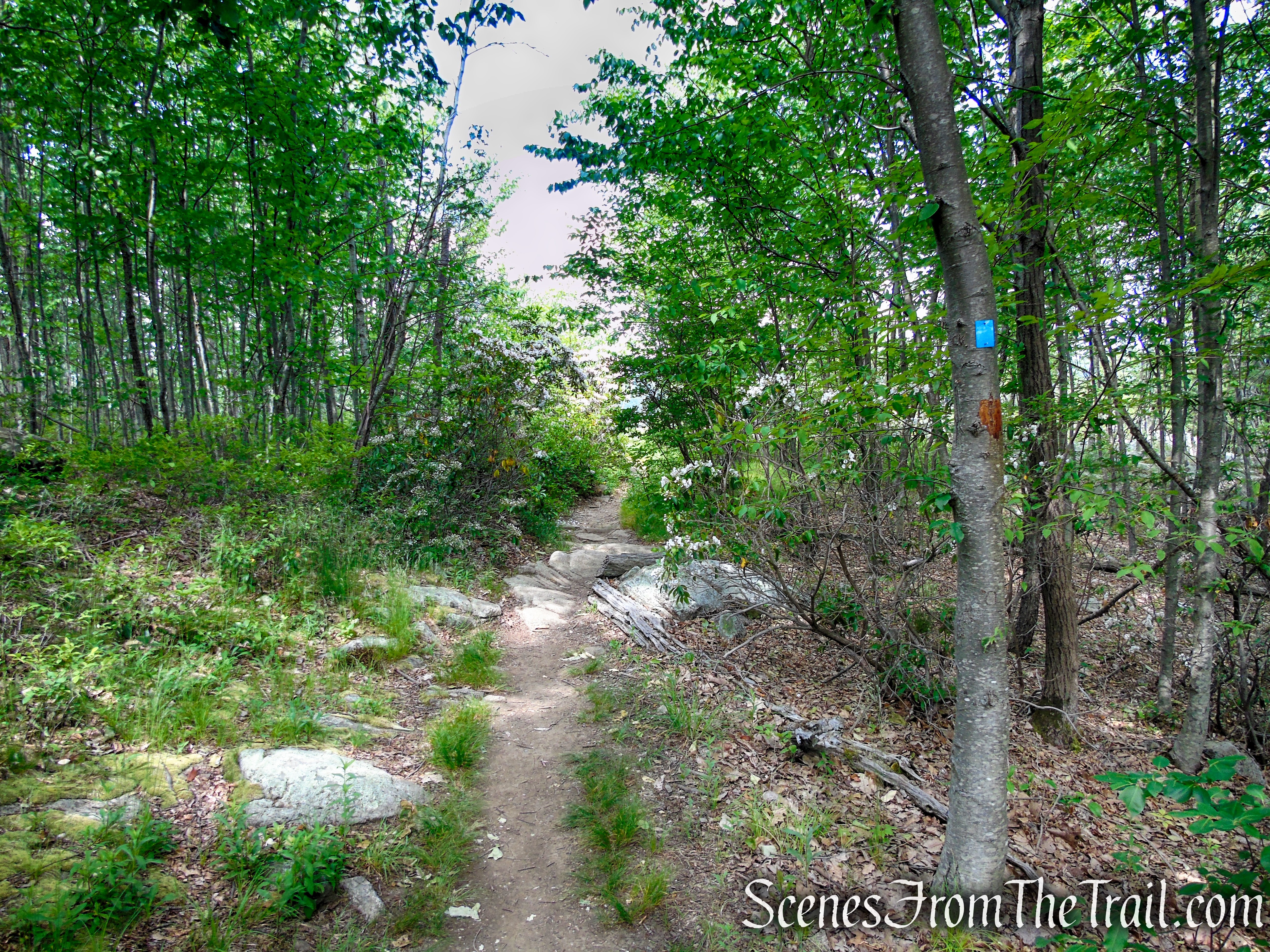 Timp-Torne Trail – West Mountain