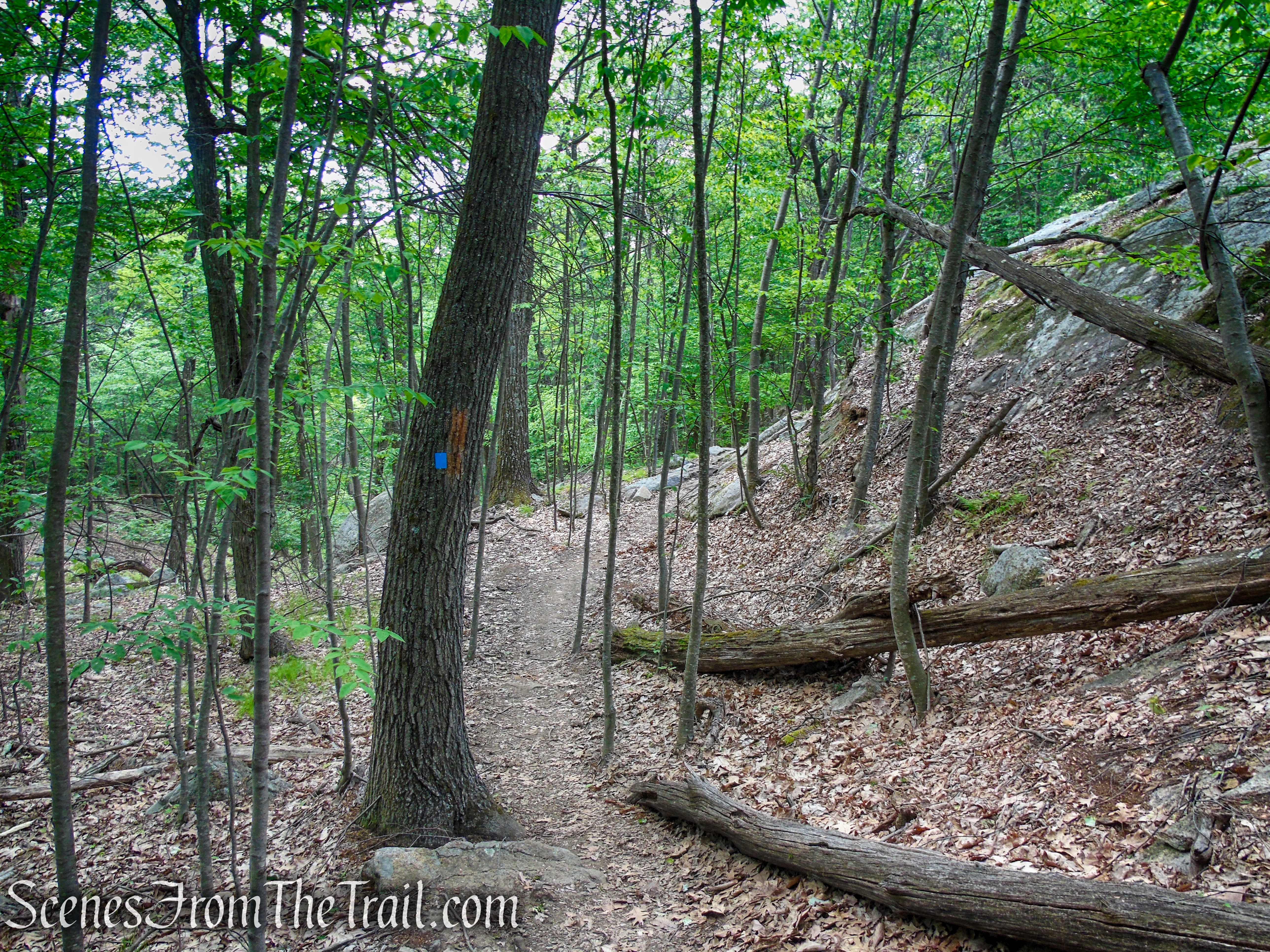 Timp-Torne Trail – West Mountain