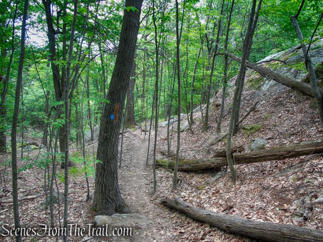 Timp-Torne Trail – West Mountain