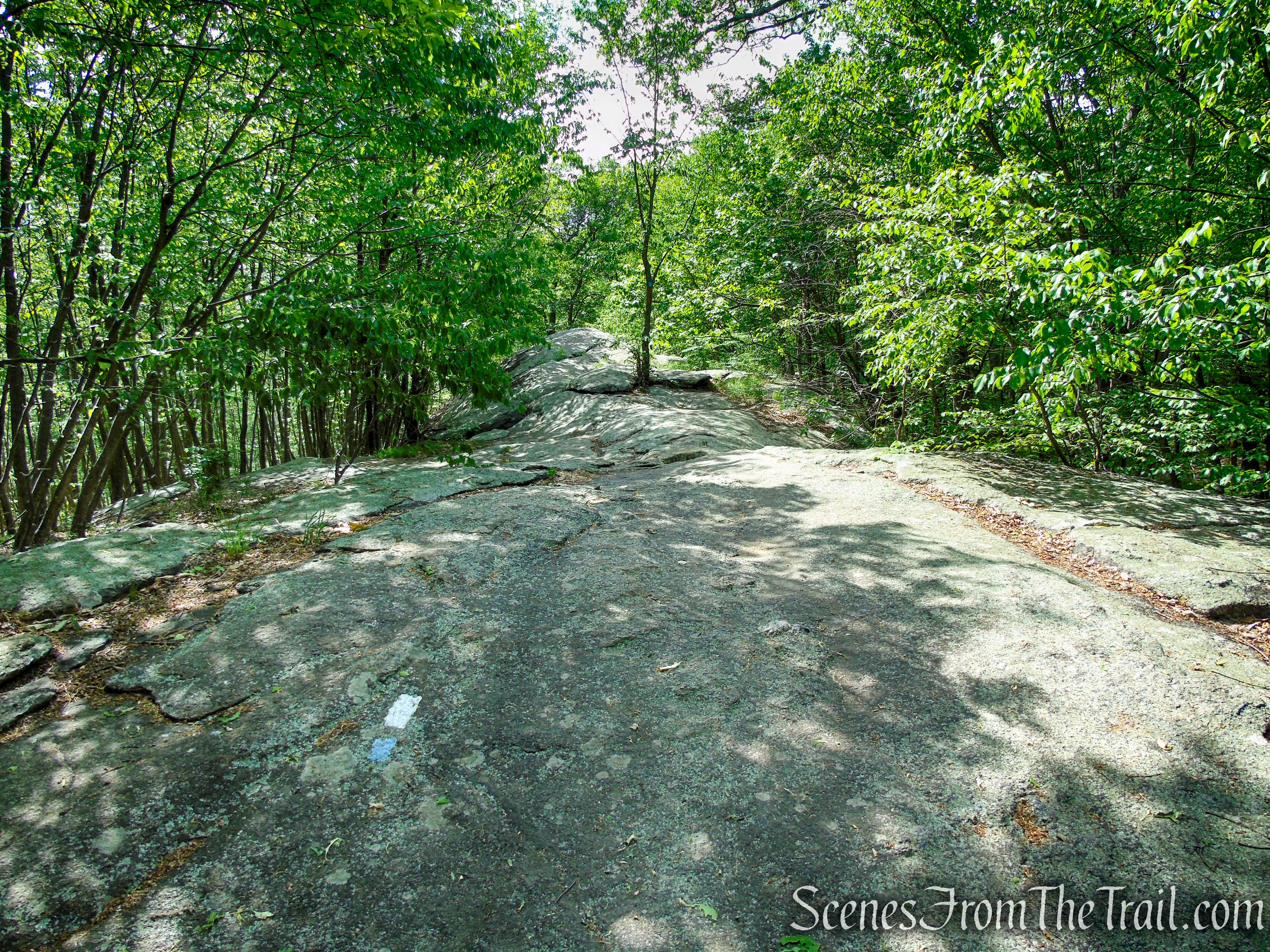 Timp-Torne Trail – West Mountain