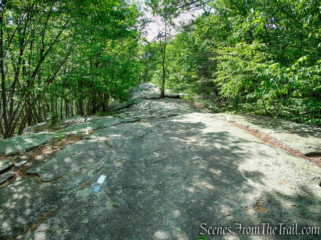 Timp-Torne Trail – West Mountain