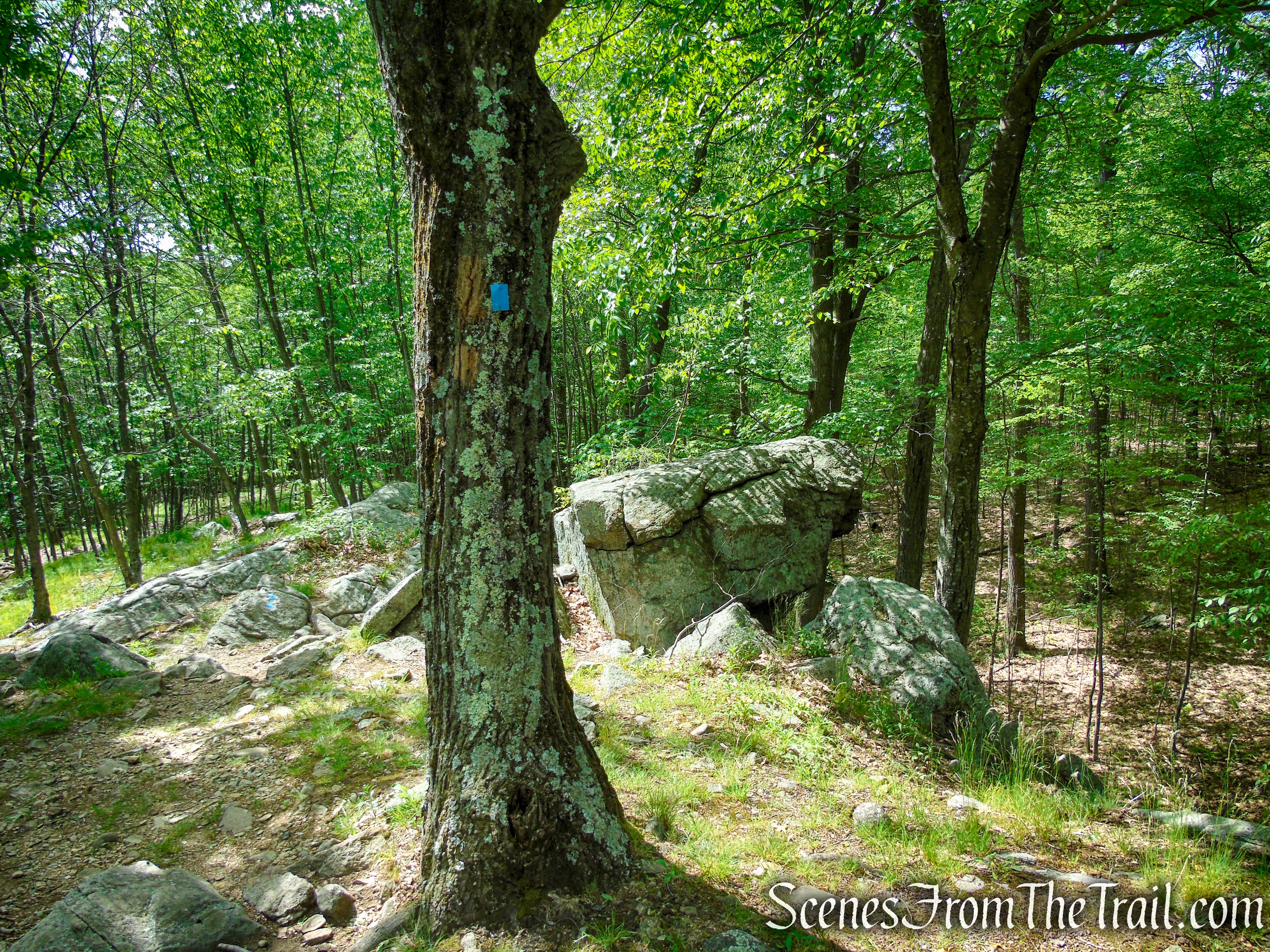 Timp-Torne Trail – West Mountain