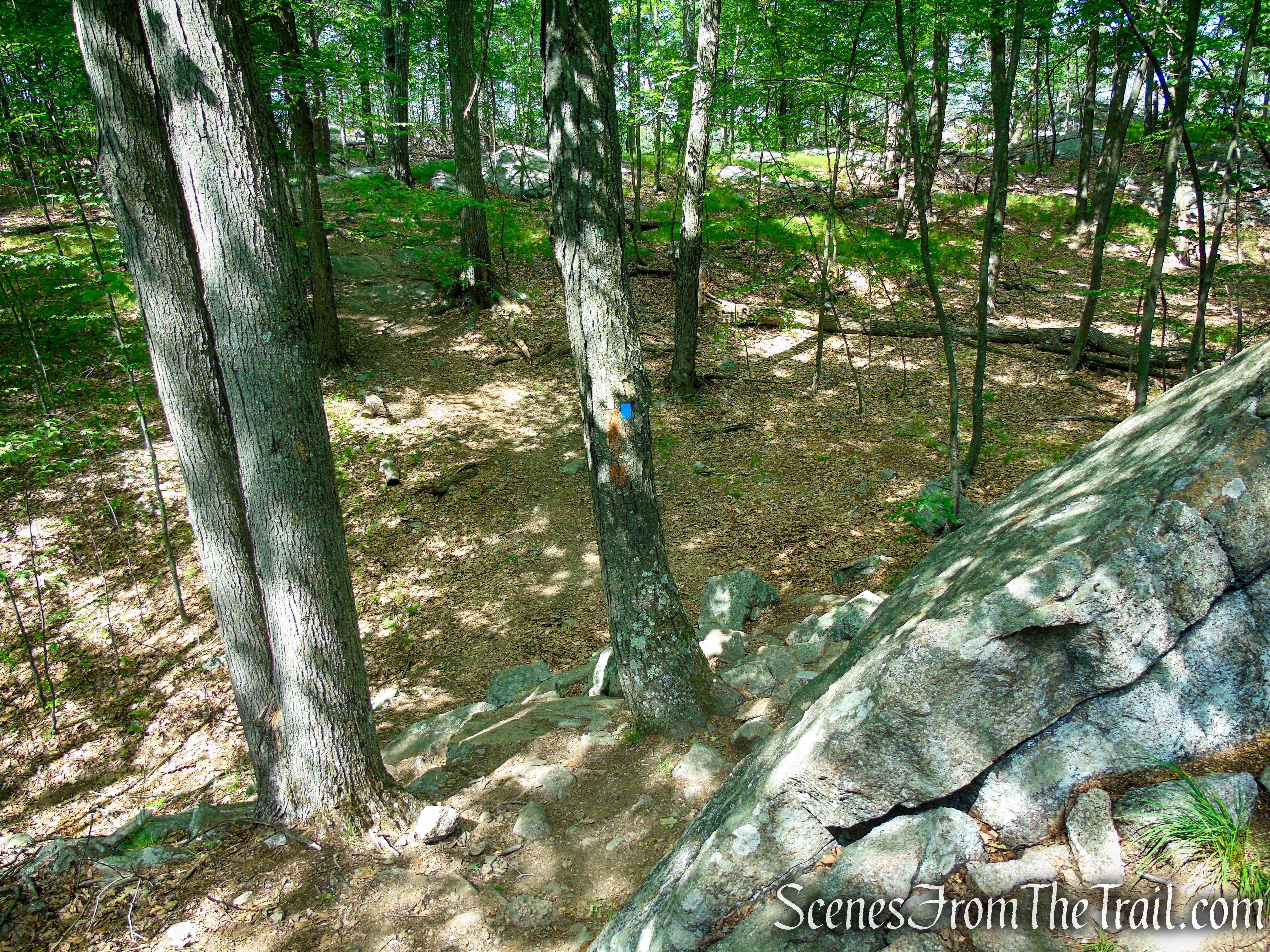 Timp-Torne Trail – West Mountain