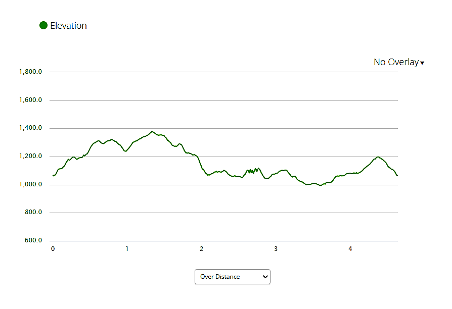 elevation profile - AT-Long Path Loop from Tiorati Picnic Area