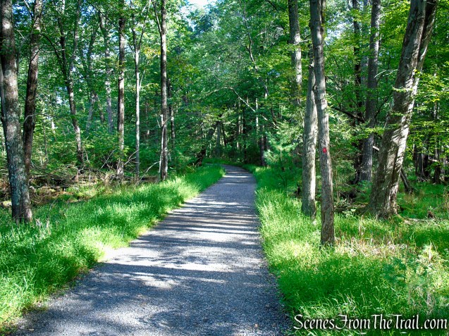 Red Loop Trail - Minnewaska State Park Preserve