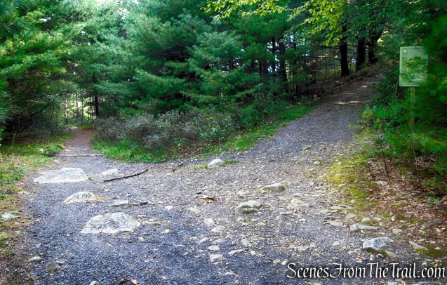 Turn right on Bullwheel Trail