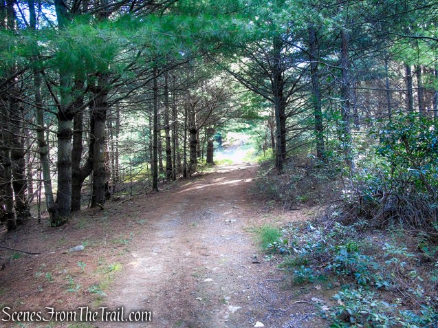 Bullwheel Trail - Minnewaska State Park Preserve