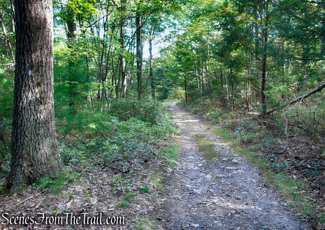 Bullwheel Trail - Minnewaska State Park Preserve