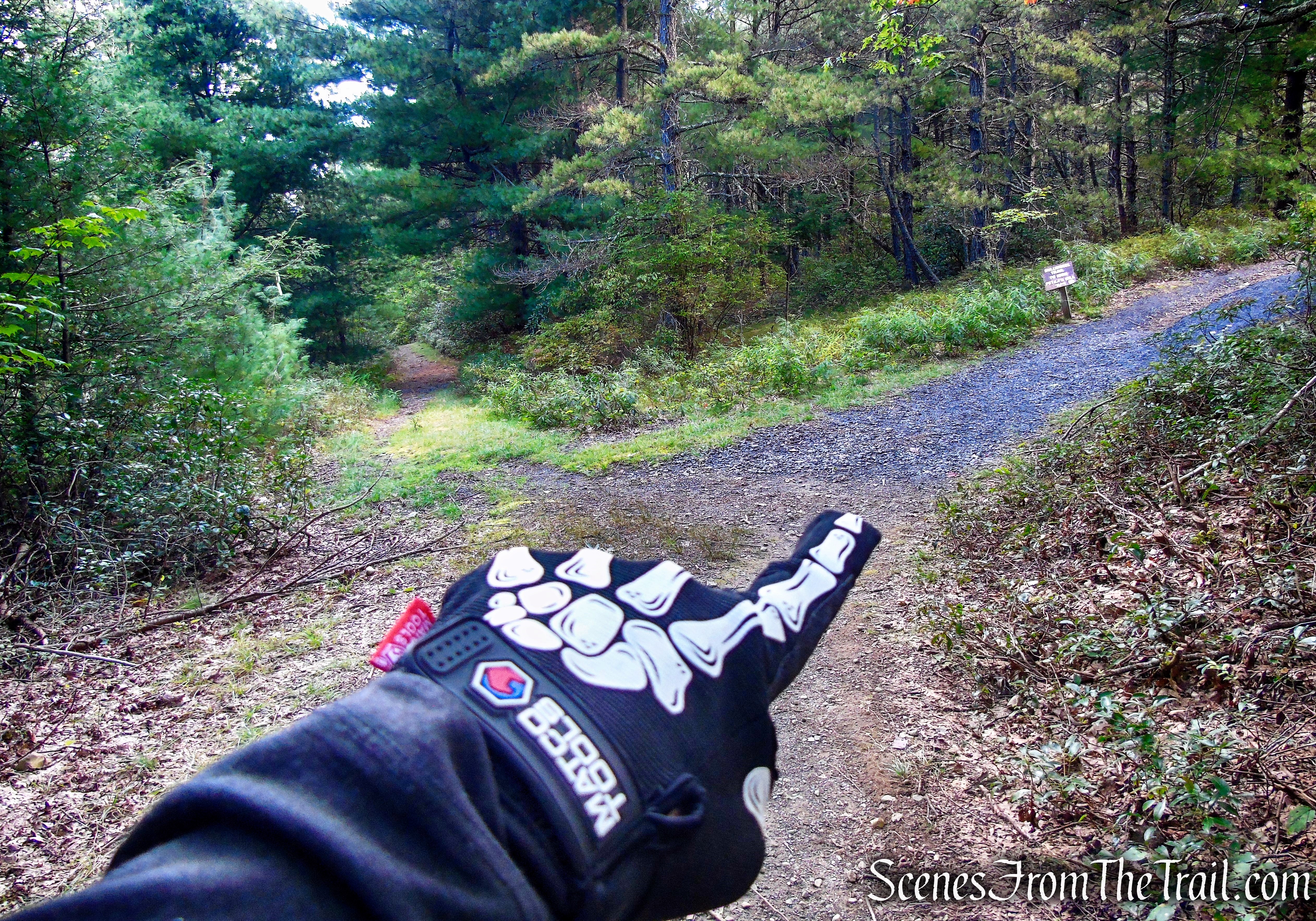 Bullwheel Trail - Minnewaska State Park Preserve