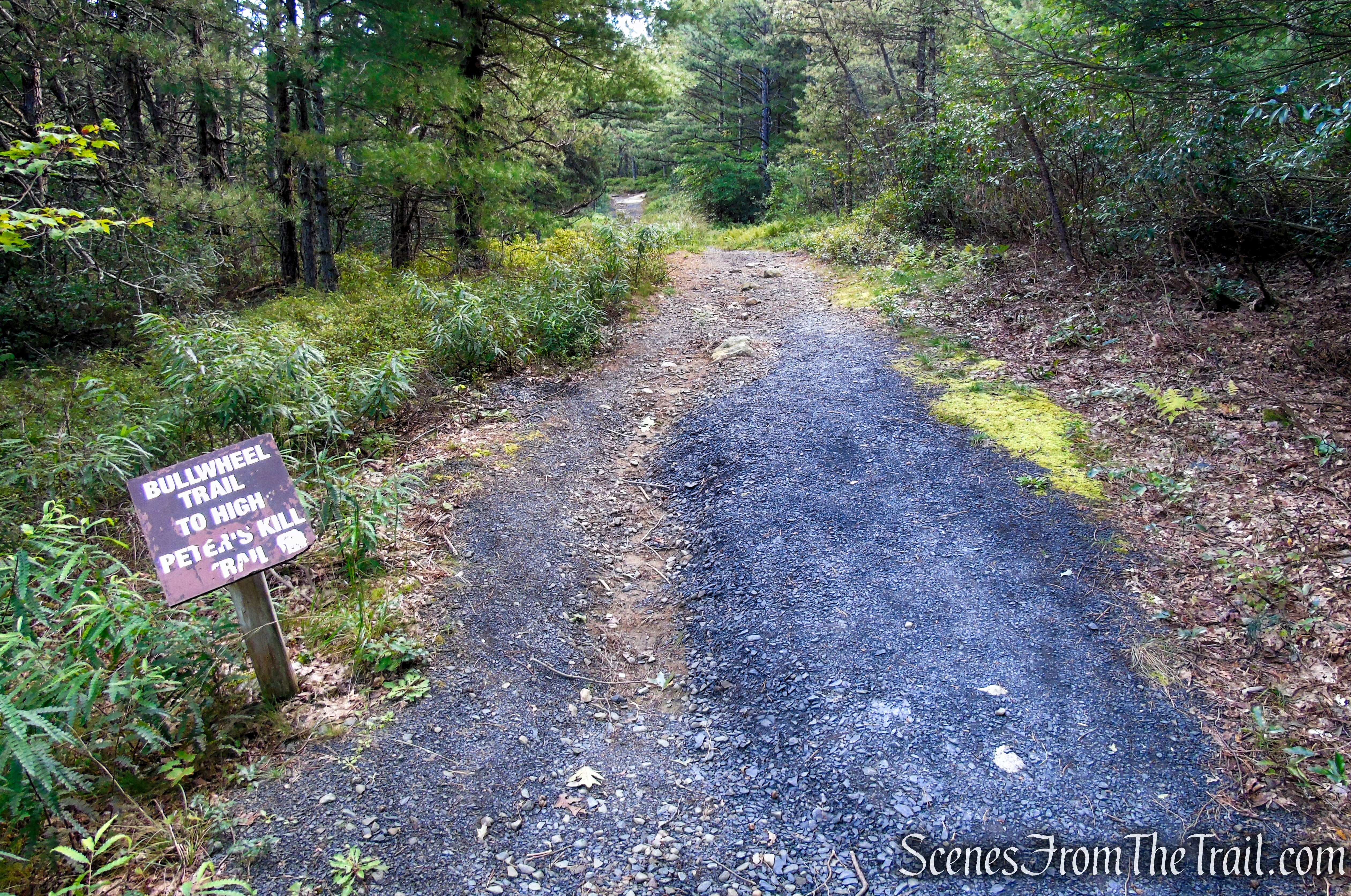 Bullwheel Trail - Minnewaska State Park Preserve
