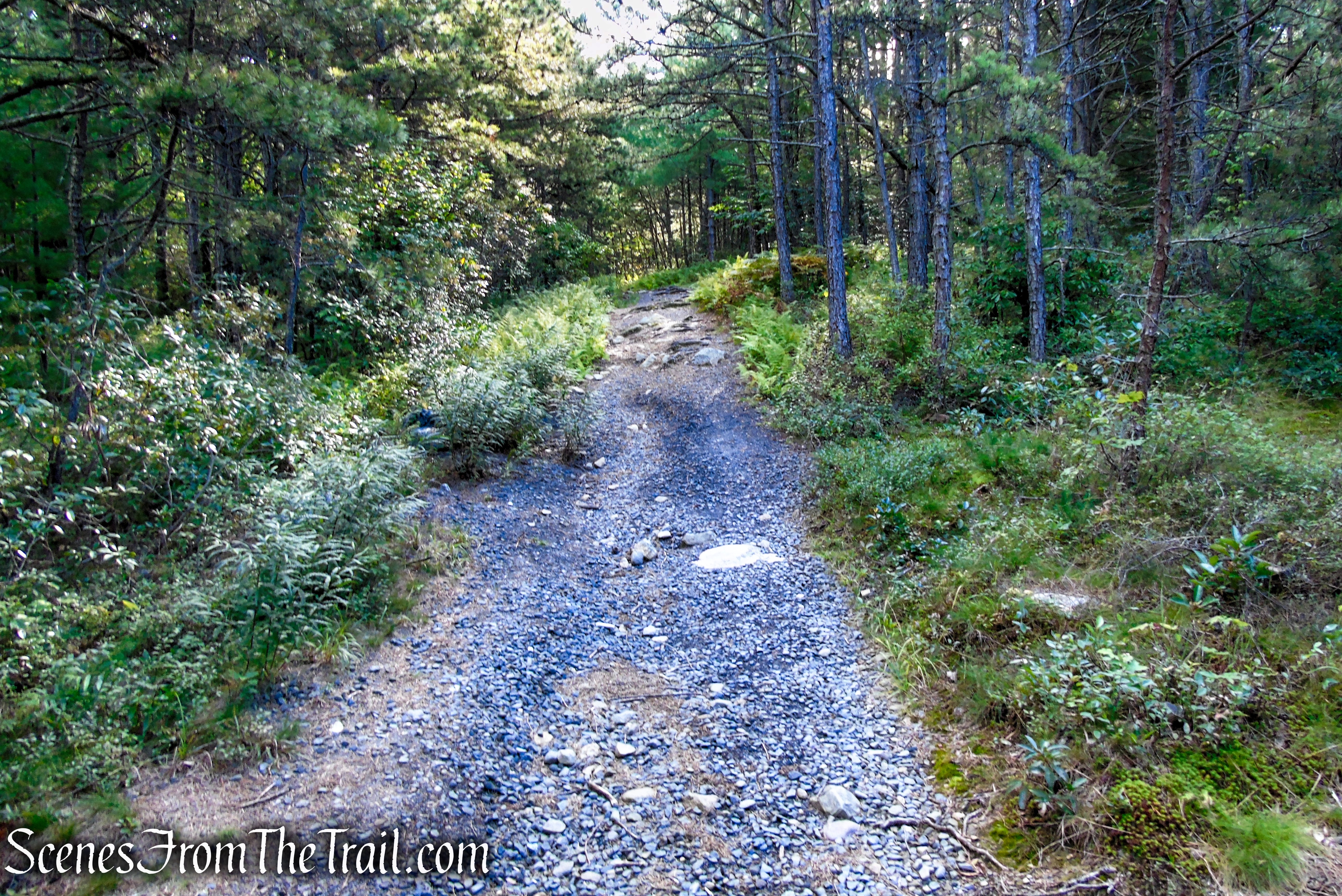 Bullwheel Trail - Minnewaska State Park Preserve