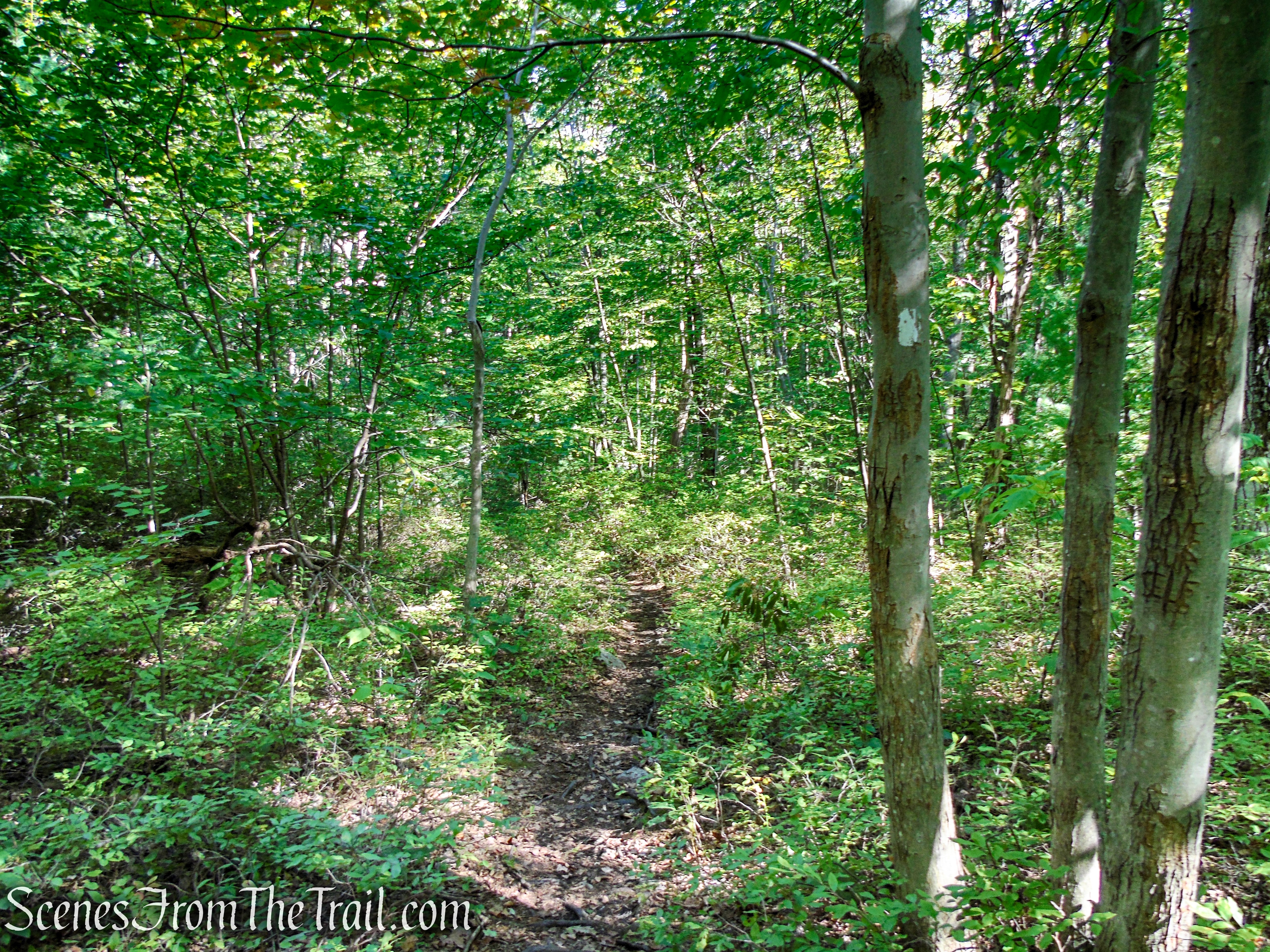 Bullwheel Trail - Minnewaska State Park Preserve