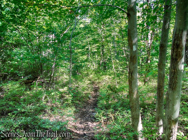 Bullwheel Trail - Minnewaska State Park Preserve