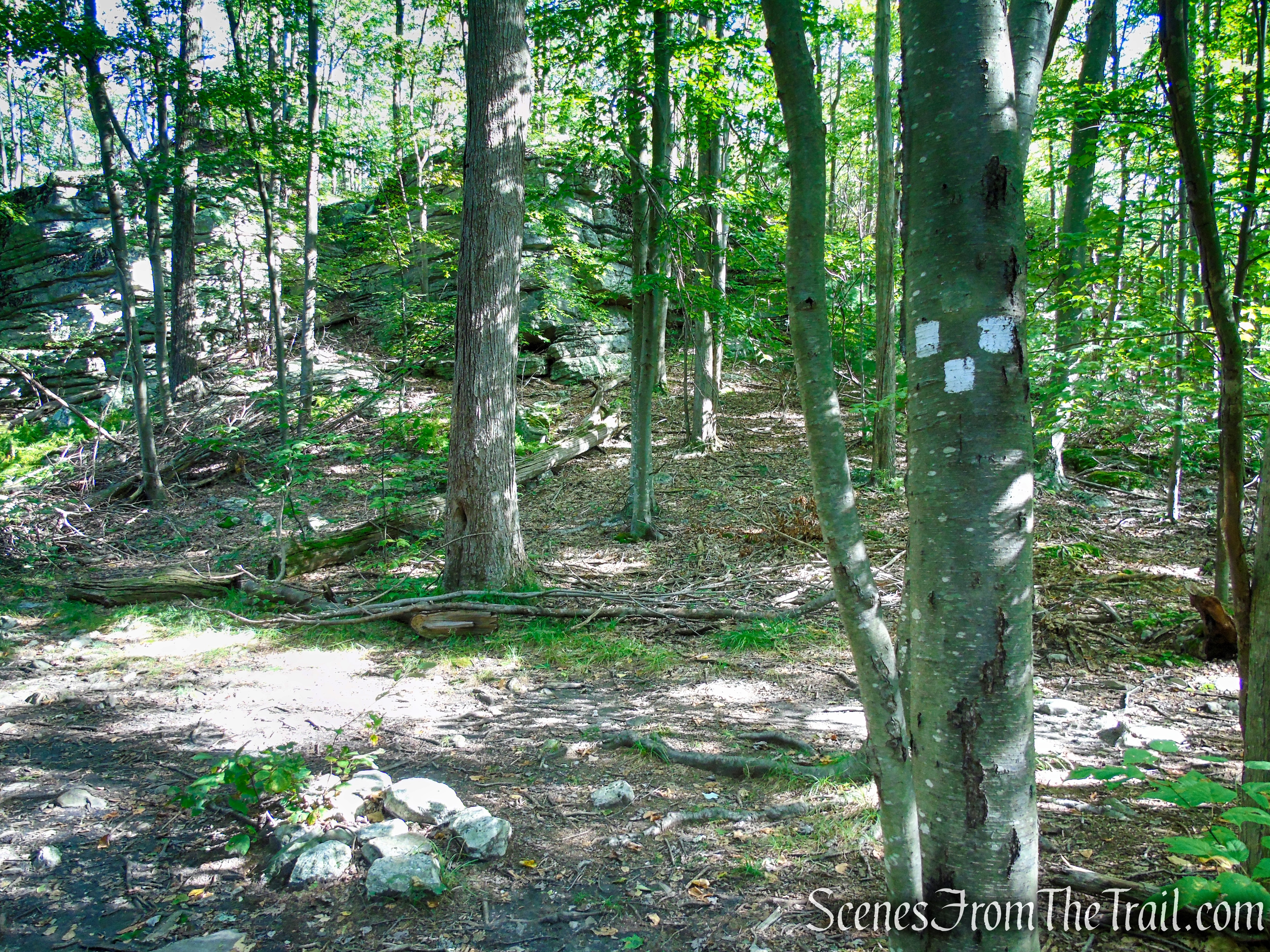 Terminus of Bullwheel Trail