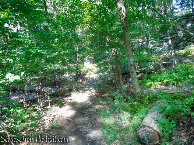High Peters Kill Trail - Minnewaska State Park Preserve