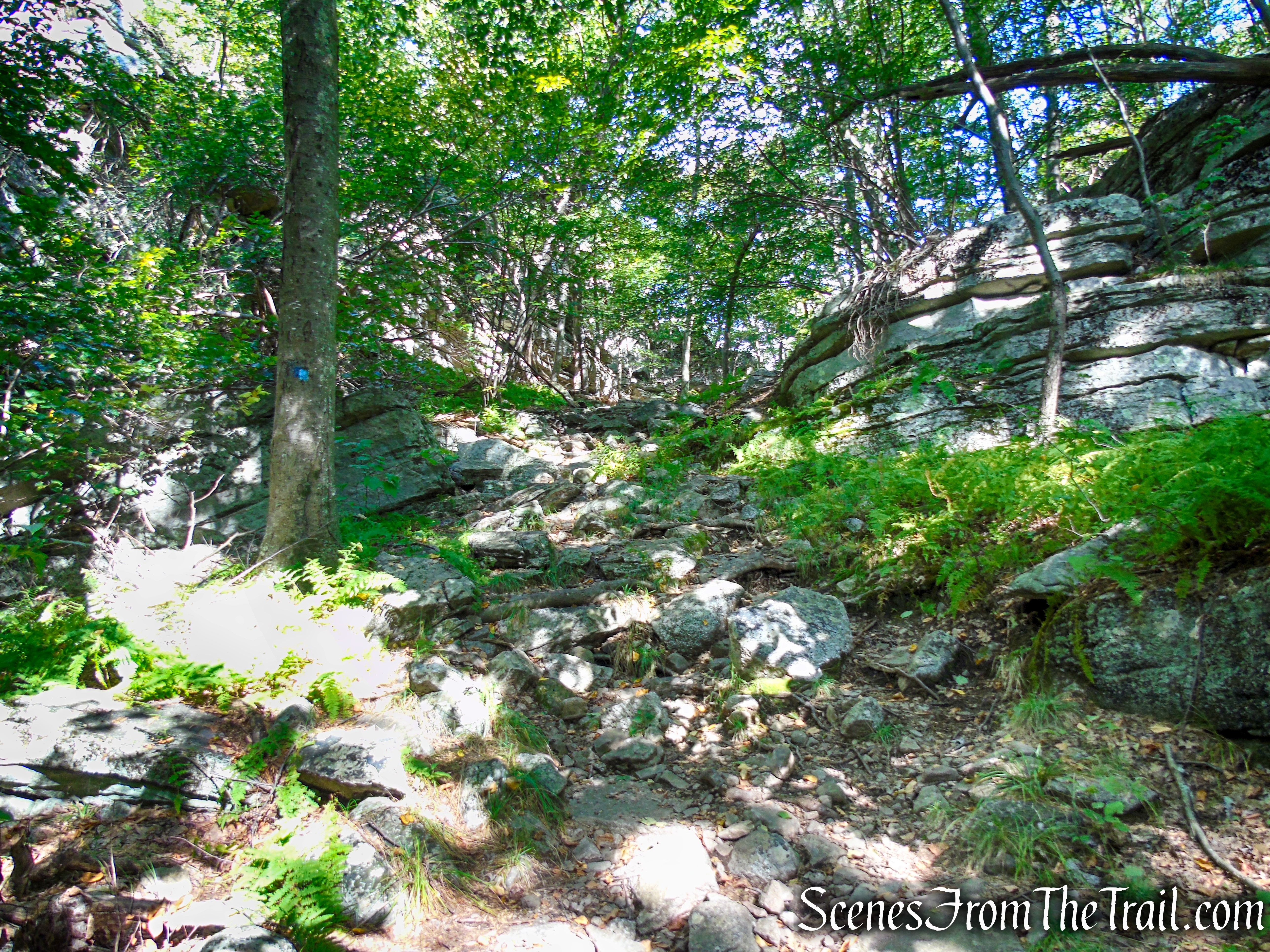High Peters Kill Trail - Minnewaska State Park Preserve