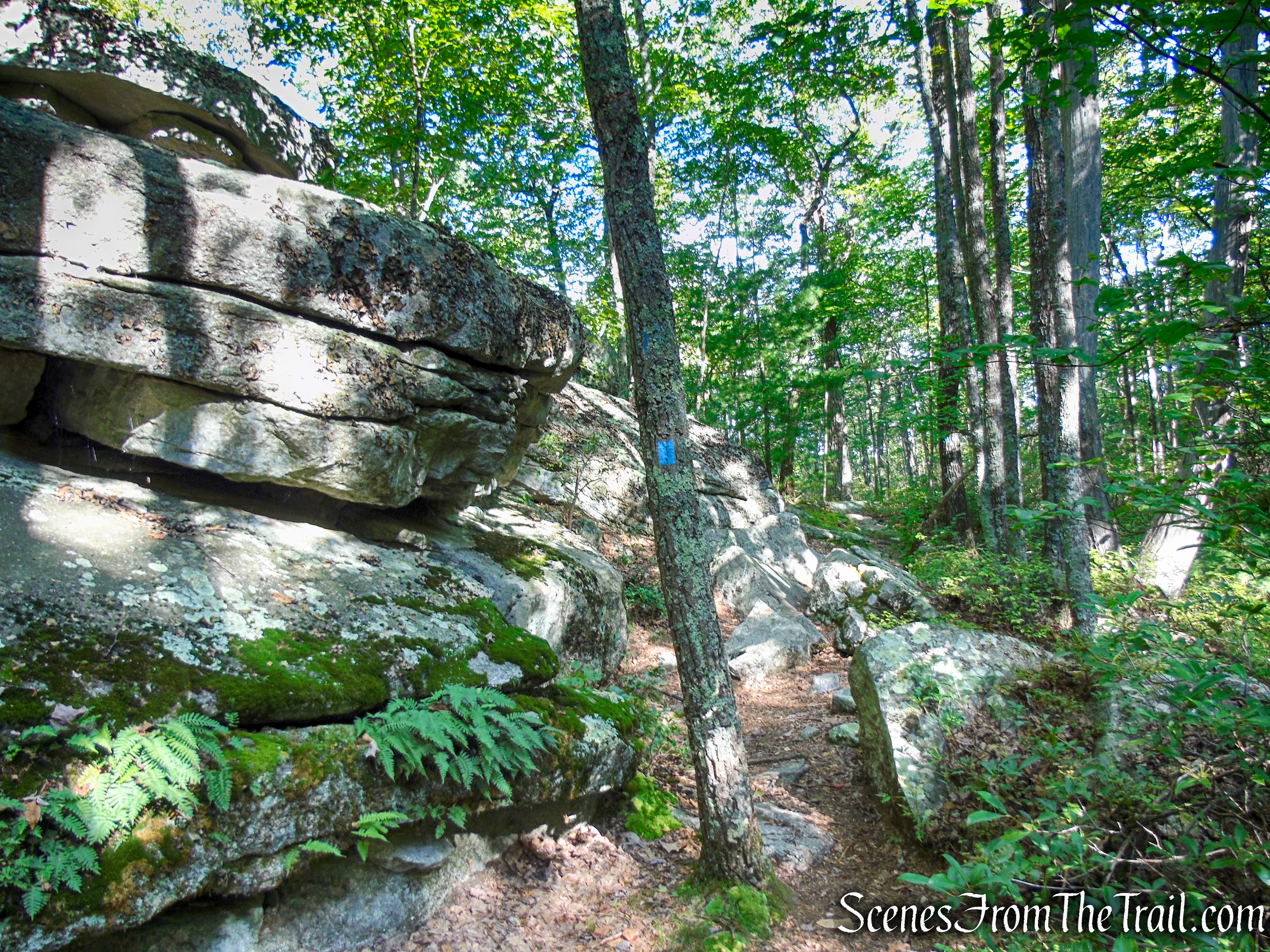 High Peters Kill Trail - Minnewaska State Park Preserve