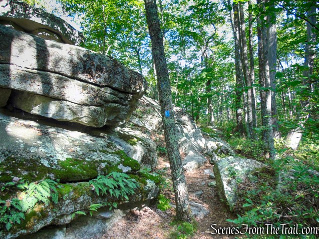 High Peters Kill Trail - Minnewaska State Park Preserve