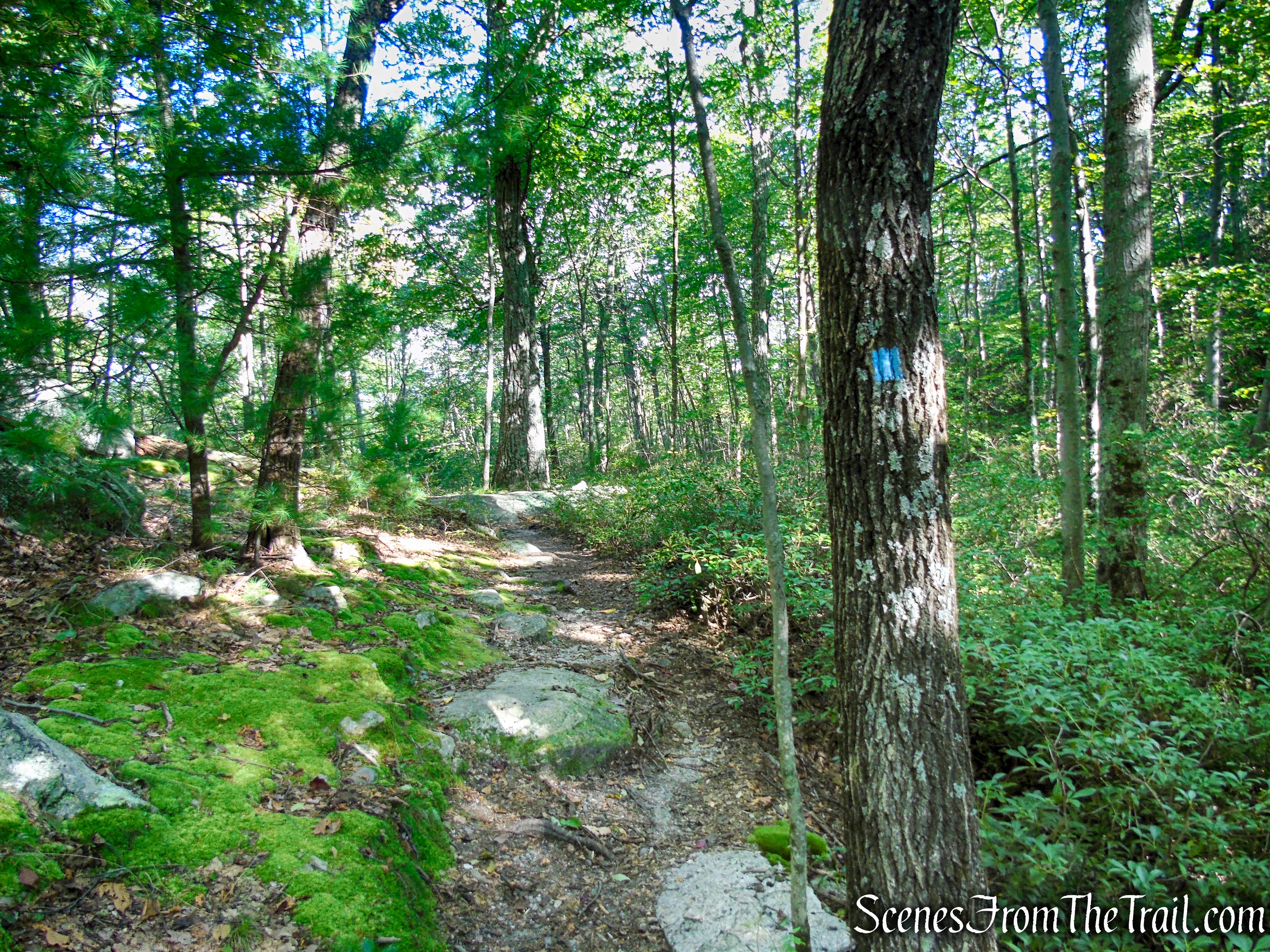 High Peters Kill Trail - Minnewaska State Park Preserve