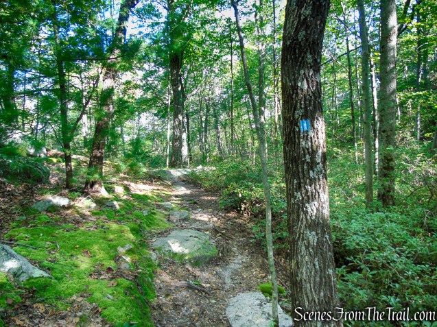 High Peters Kill Trail - Minnewaska State Park Preserve