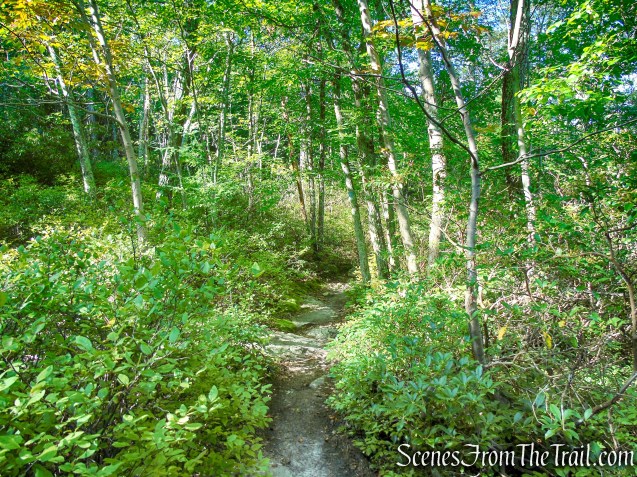 High Peters Kill Trail - Minnewaska State Park Preserve