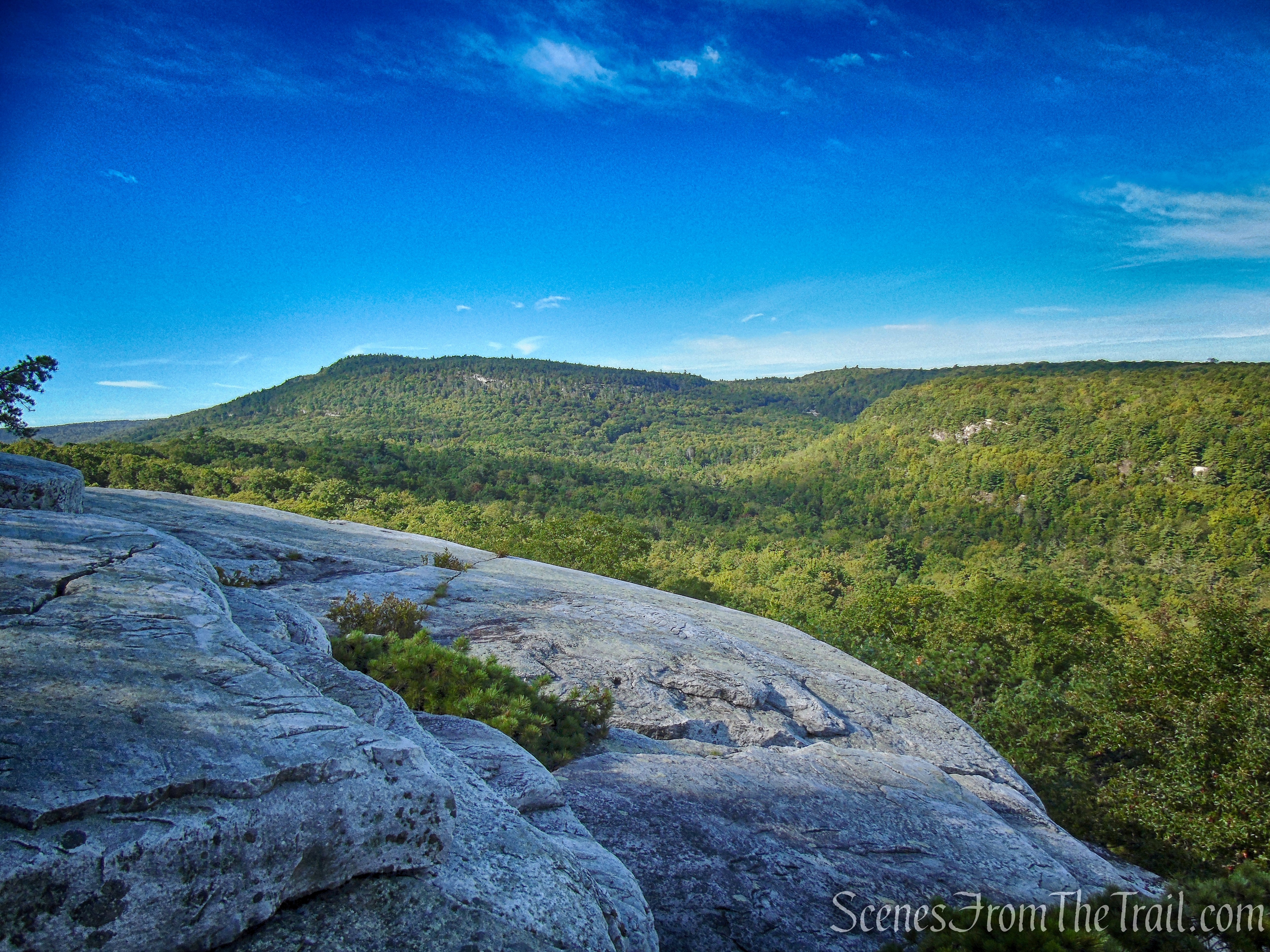 View south just off the High Peters Kill Trail