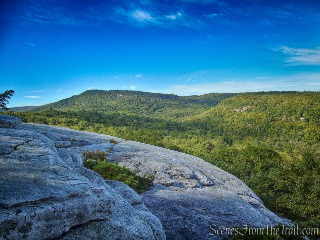 View south just off the High Peters Kill Trail