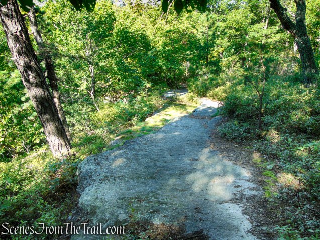 High Peters Kill Trail - Minnewaska State Park Preserve