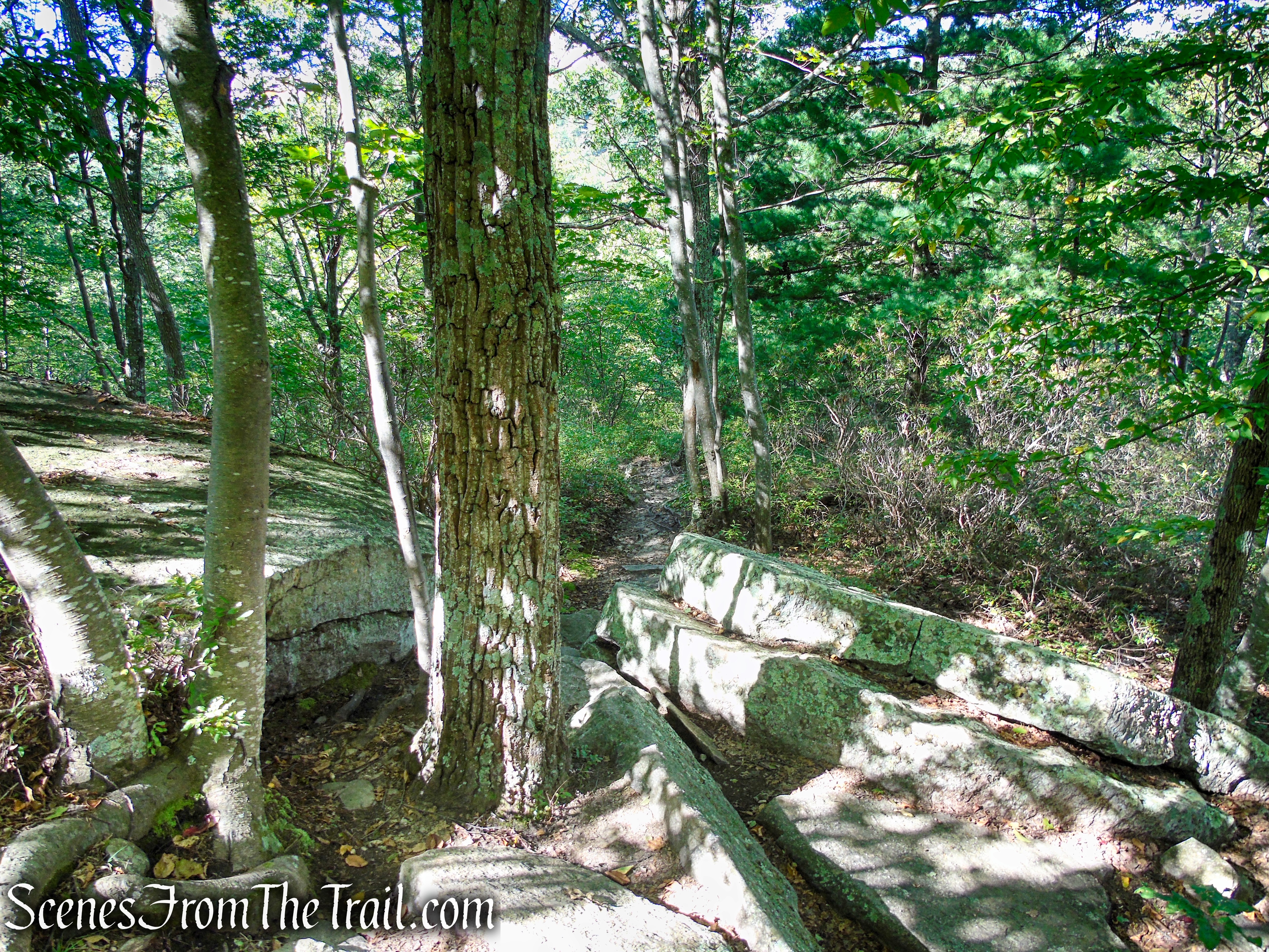High Peters Kill Trail - Minnewaska State Park Preserve