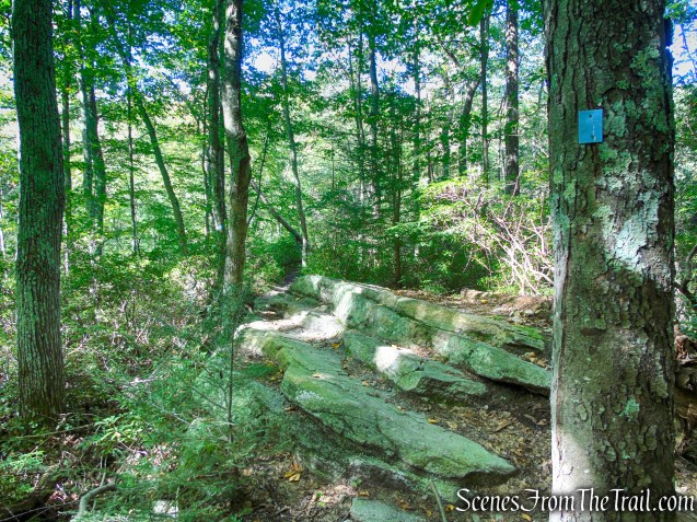 High Peters Kill Trail - Minnewaska State Park Preserve