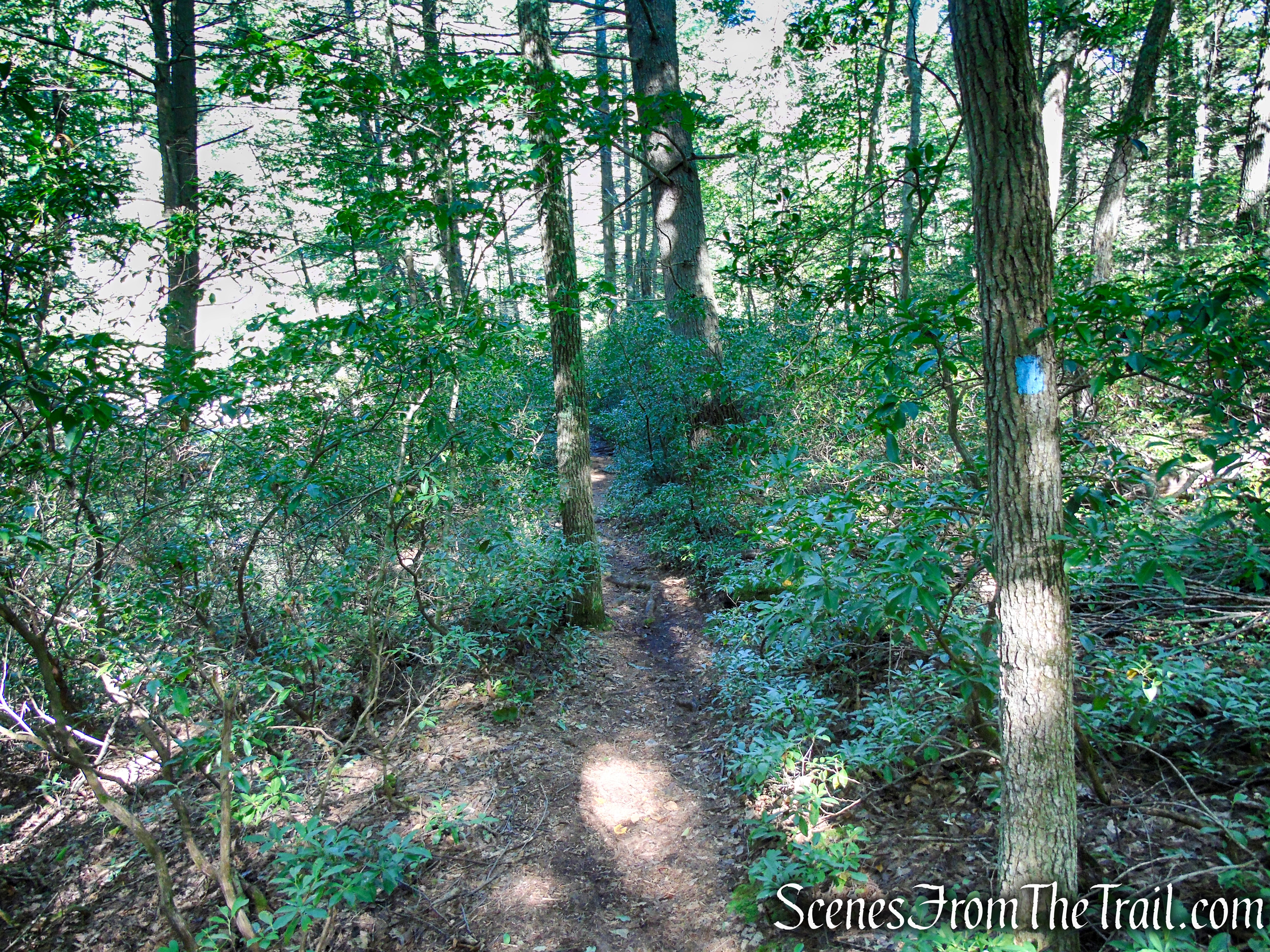 High Peters Kill Trail - Minnewaska State Park Preserve
