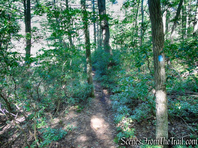 High Peters Kill Trail - Minnewaska State Park Preserve