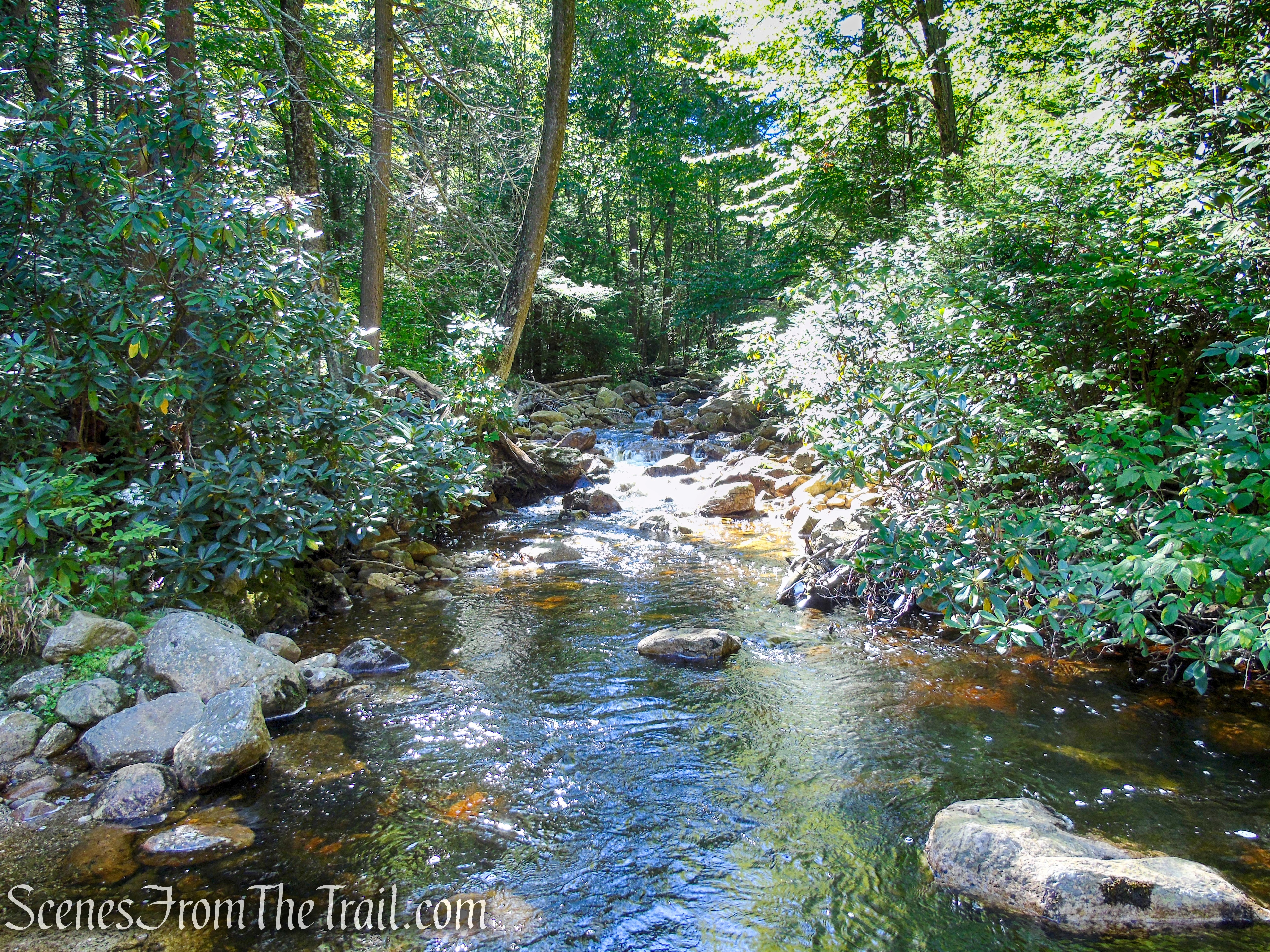 Peters Kill - Minnewaska State Park Preserve