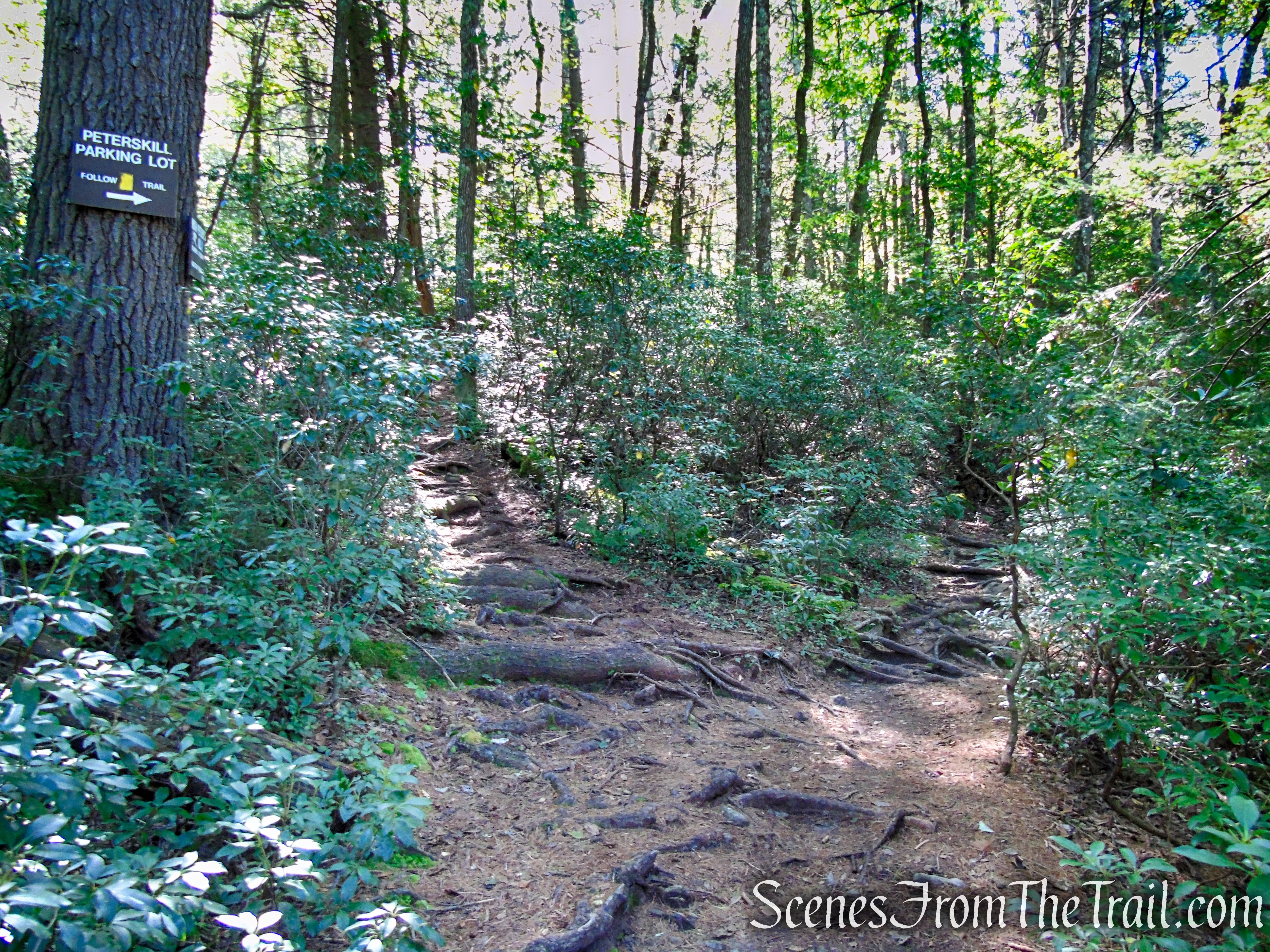 Yellow Connector Trail - Minnewaska State Park Preserve