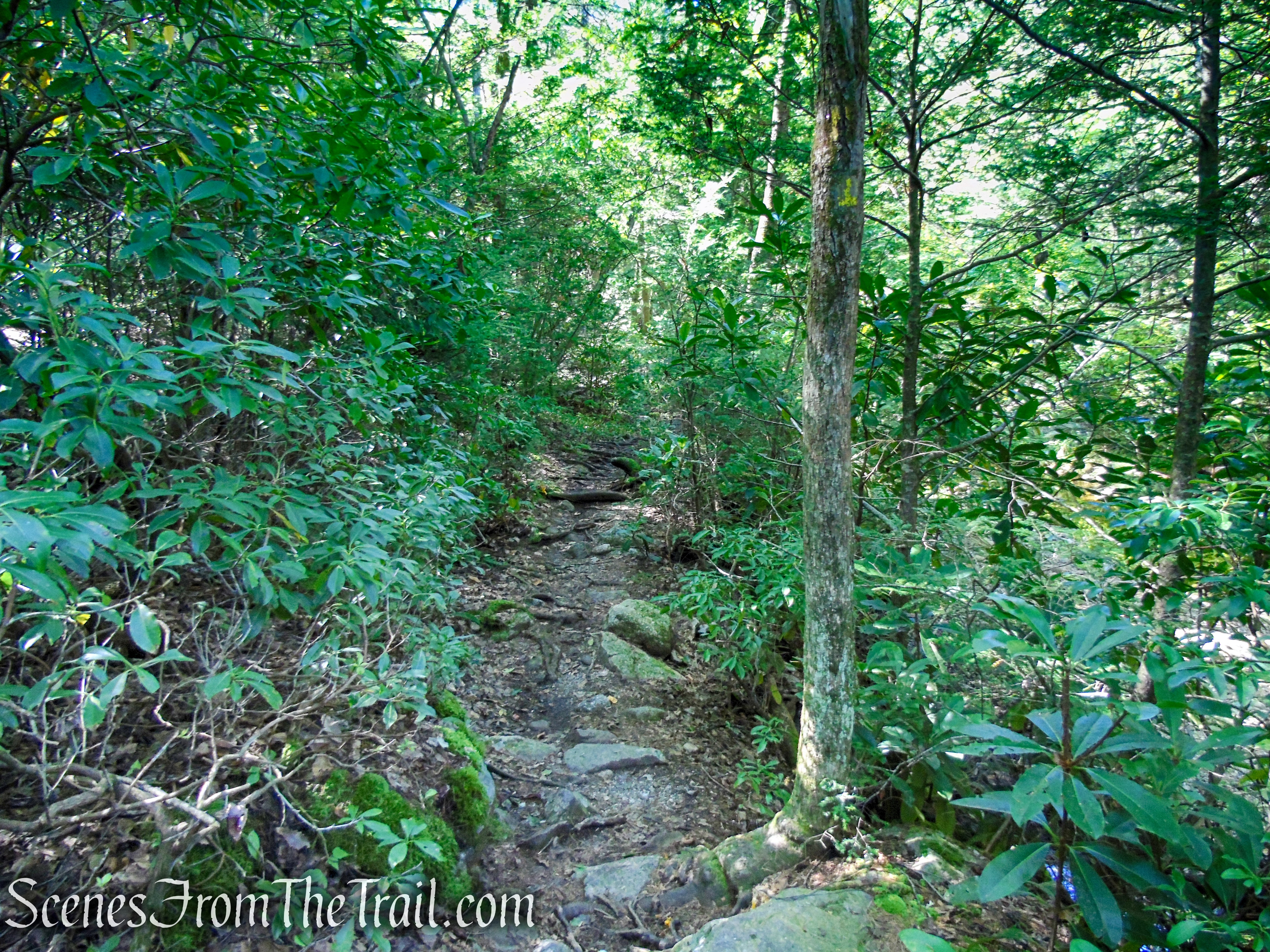 Yellow Connector Trail - Minnewaska State Park Preserve