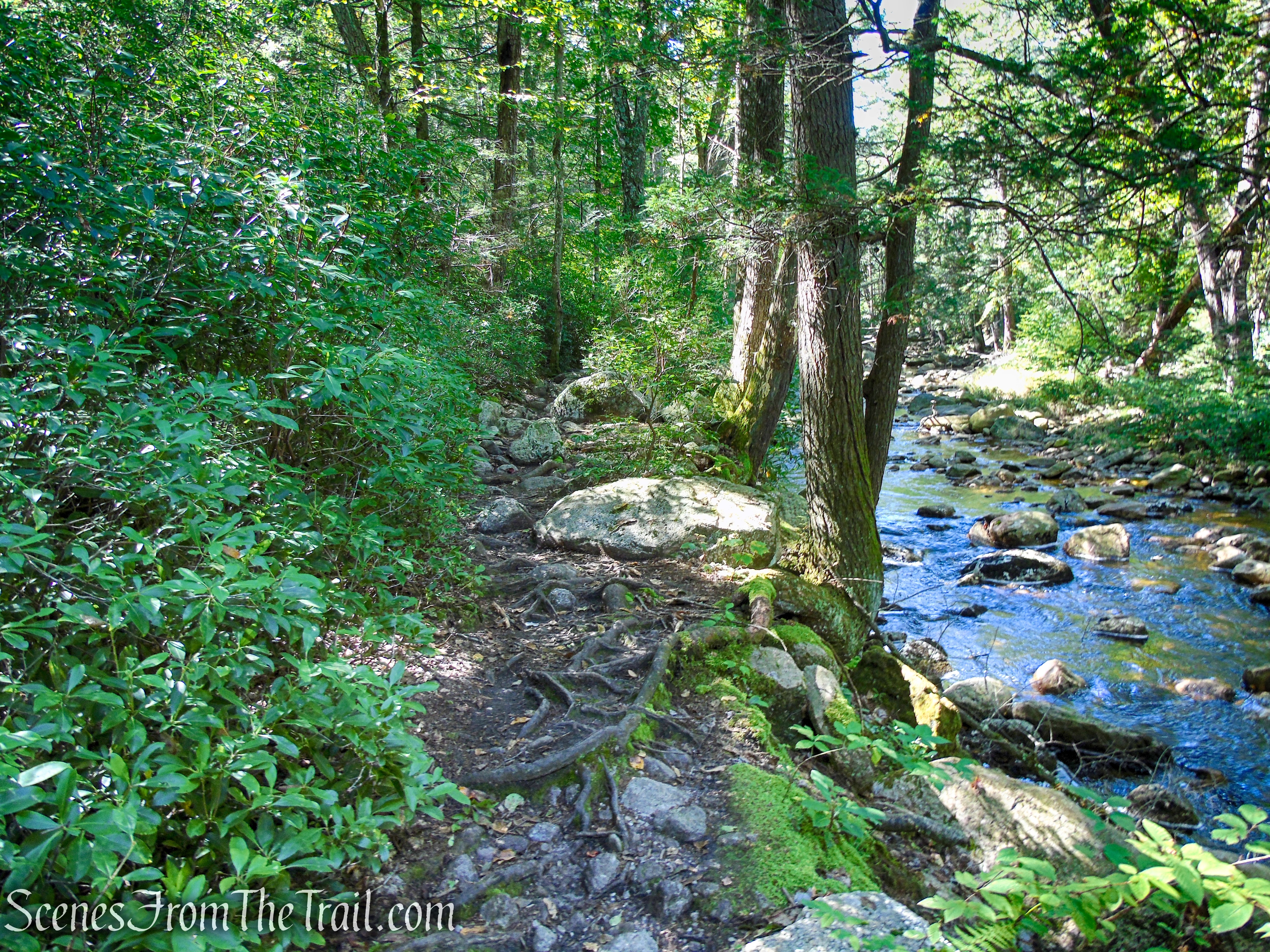 Yellow Connector Trail - Minnewaska State Park Preserve